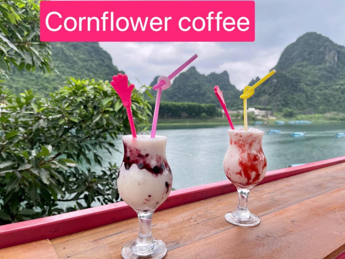 Cornflower Homestay פונג נה מראה חיצוני תמונה
